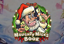Naughty Nicks Book